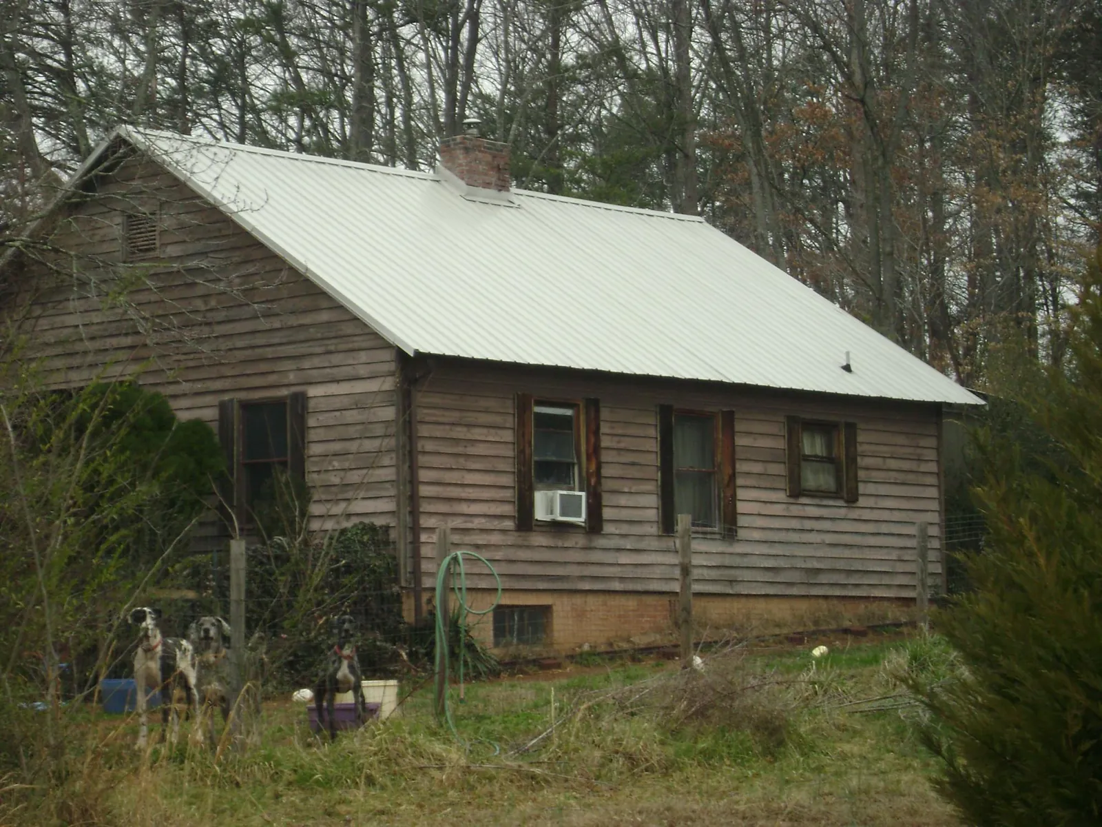 White metal roof on an old wood sided farmhouse, from a Asphalt Shingle Roof Repair job in Mount Summit